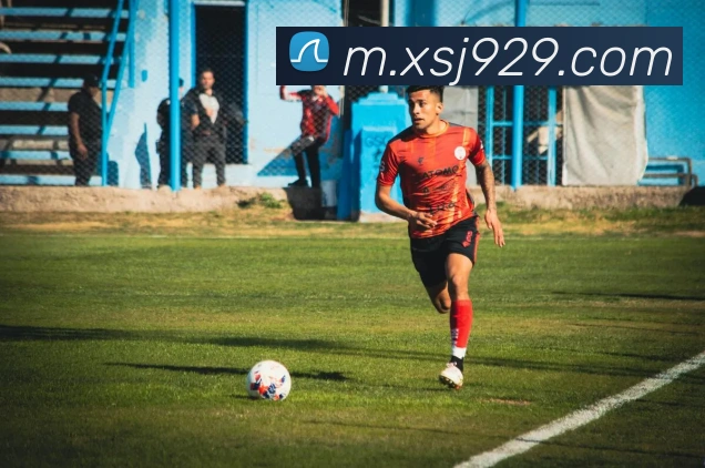 AI Risk Control